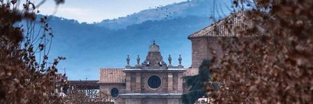 Mercedes Castro-Nuño banner