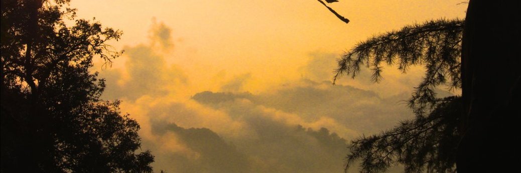 combif1am's banner