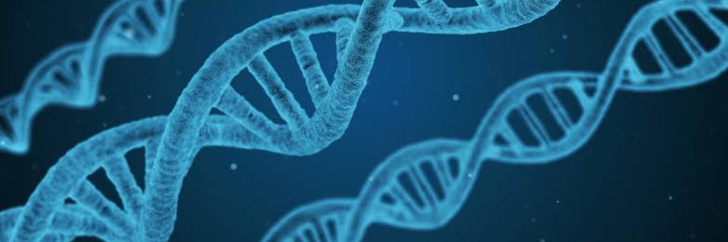 dna3000000000's profile banner image