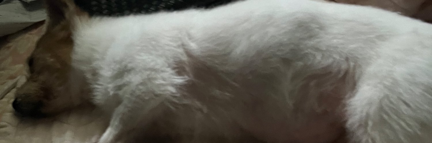 biing222's profile banner image