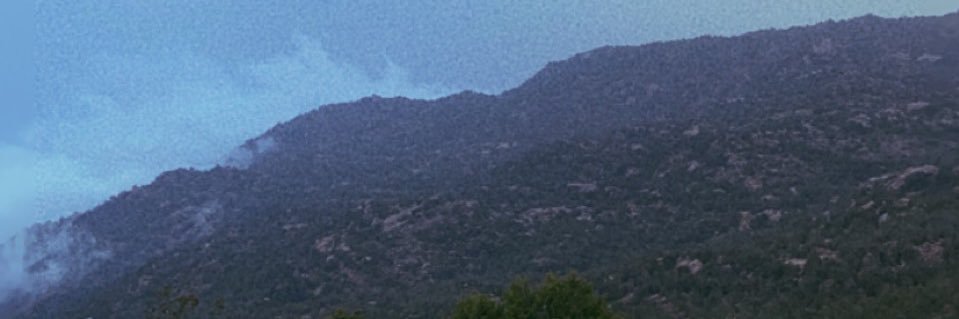 alhrdaT's profile banner image