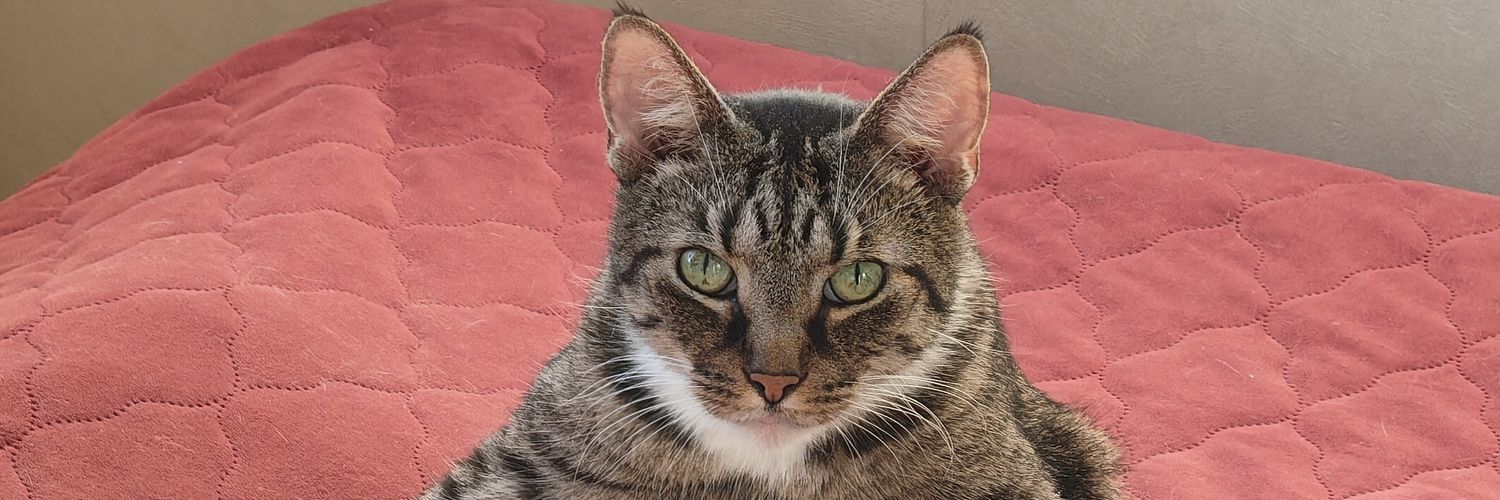 Puffemannen's profile banner image