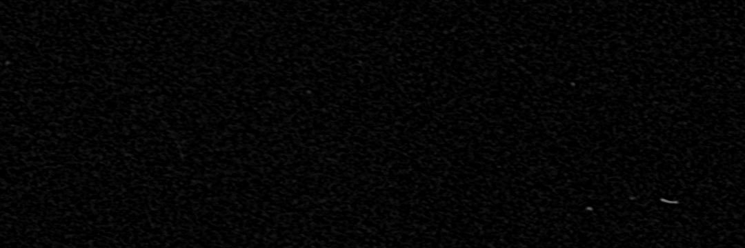 bluebuck40's profile banner image