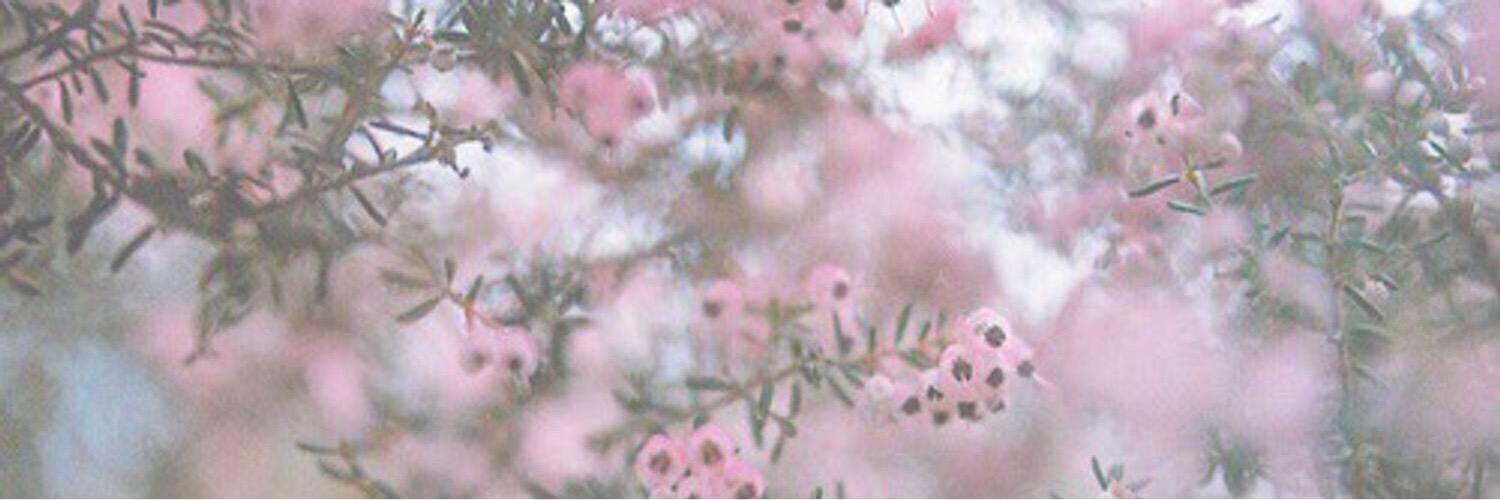 katiesimpss's profile banner image