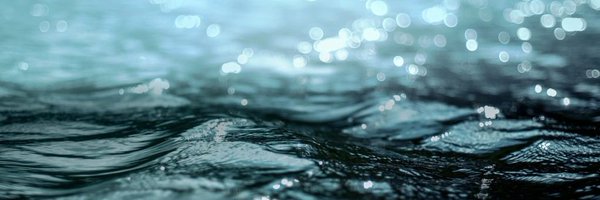 BluefieldWater Profile Banner