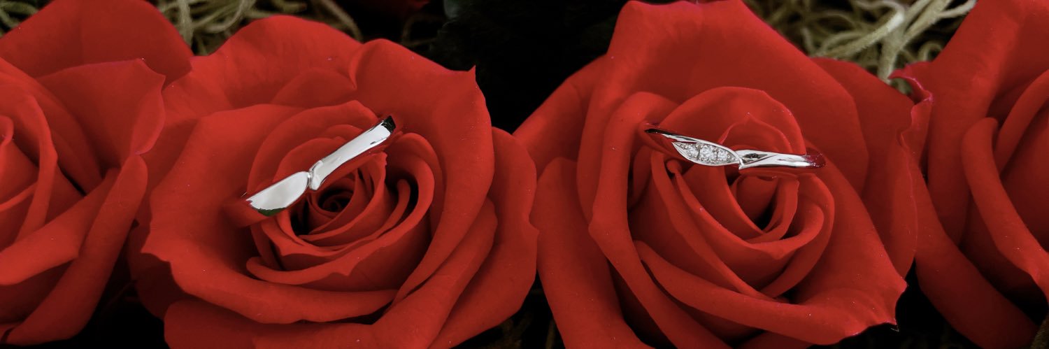 sacho24n's profile banner image