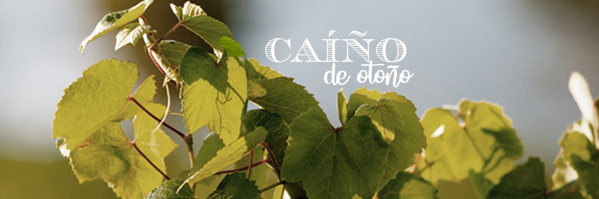 Altos de Torona banner