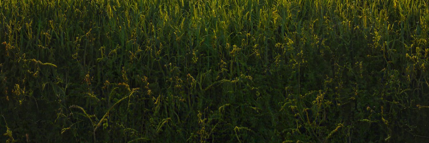 Felix Landwirt banner