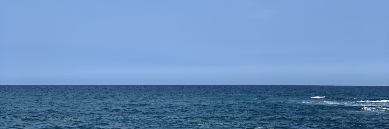 whoisiro's profile banner image