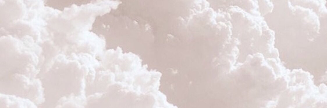 barbaratf9's profile banner image