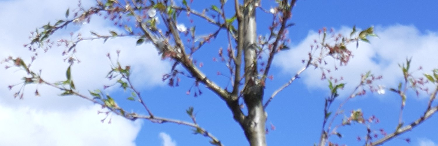 Bridge Community Centre L4 banner