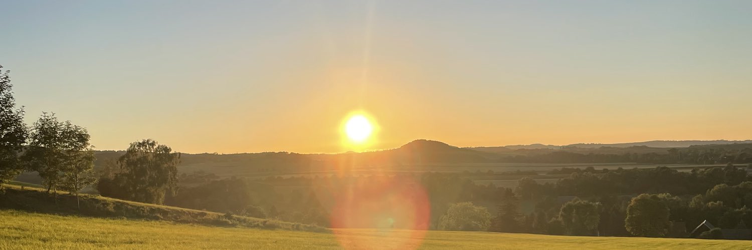 teribartik's profile banner image