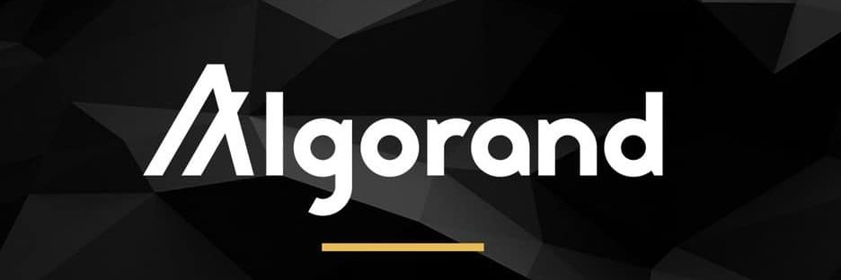 MrBags.algo's banner