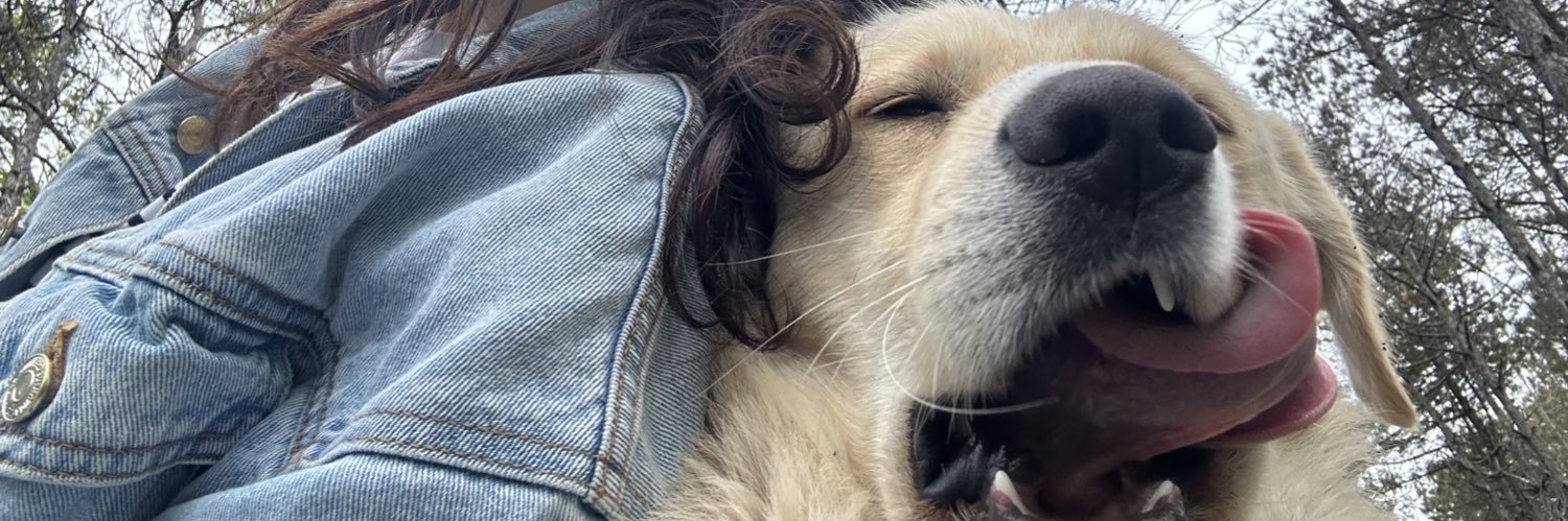 CansuKIlcc's profile banner image