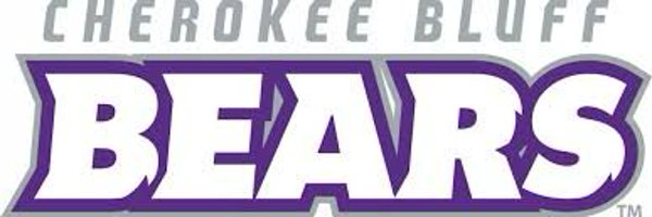 cbbearssoftball Profile Banner