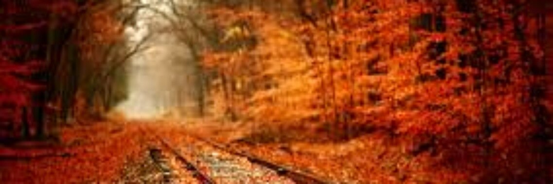 SunnivaHA's profile banner image