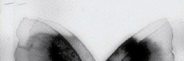 Hanzo. banner