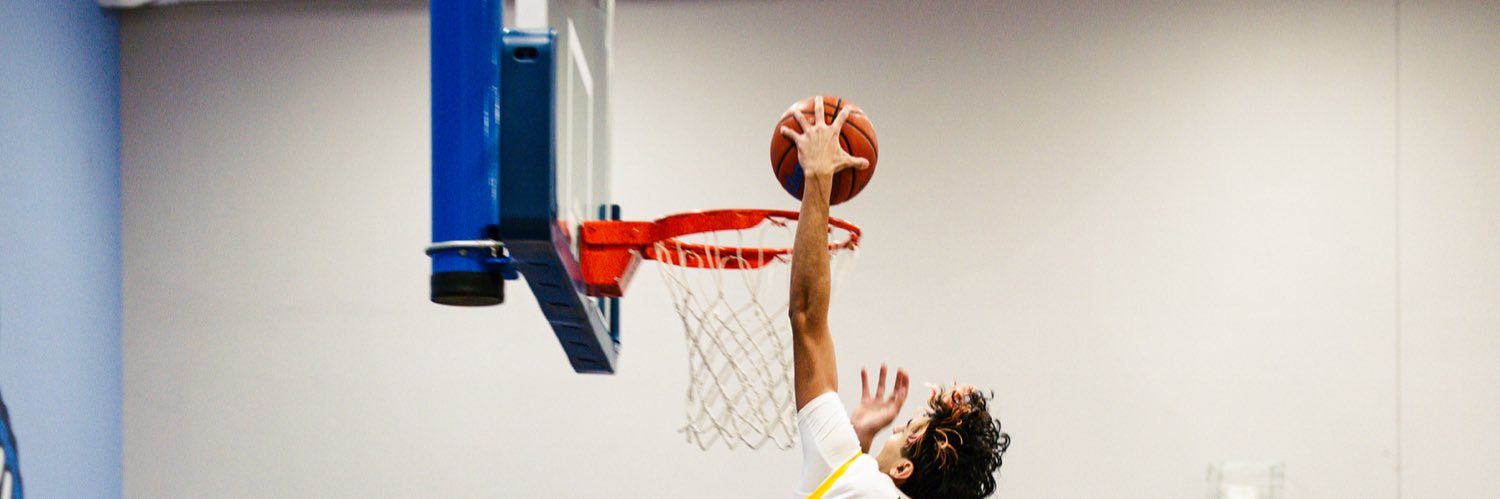 Logan N. Lords banner