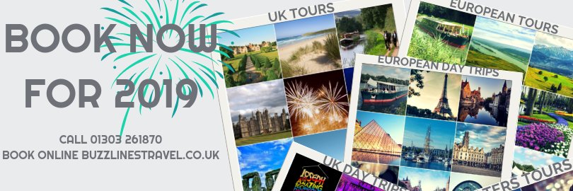 Buzzlines Travel banner