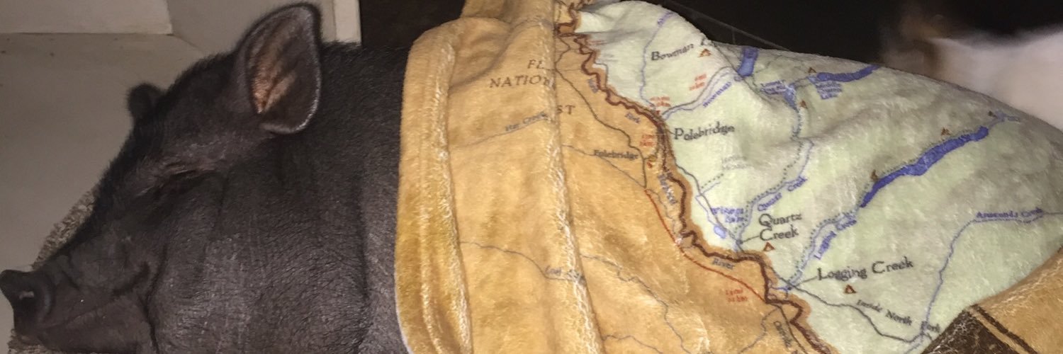 dixonsplace 🐷🦆🐘🦏🇺🇦 banner