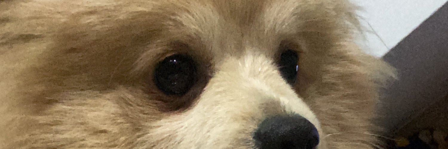 _Damaris19's profile banner image