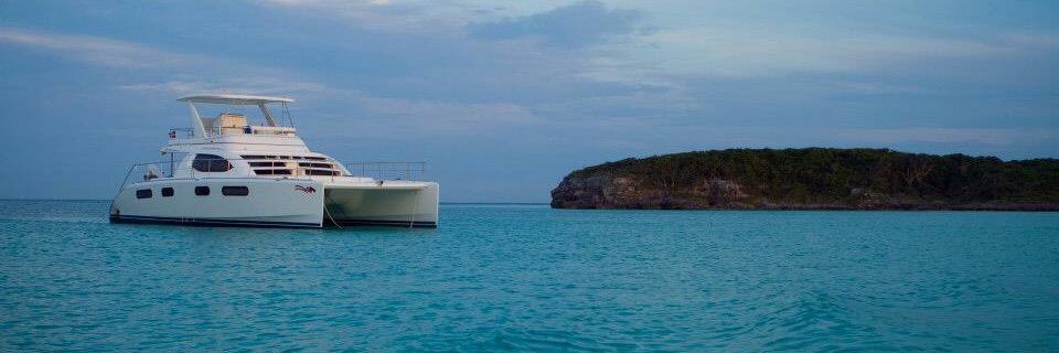 Macy Forrest Amos banner