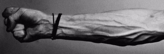 Tony_WRI's profile banner image