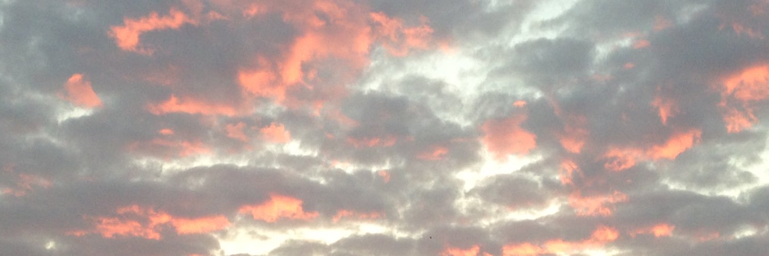 sherill_'s profile banner image