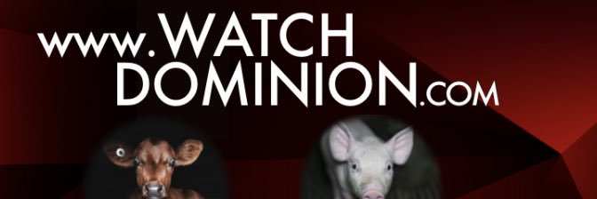 NallyV banner