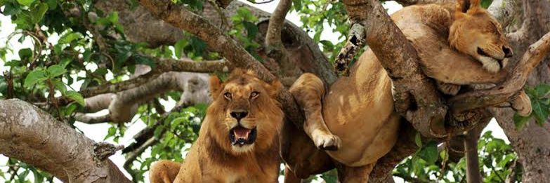 Eng Eddystil🫵 banner