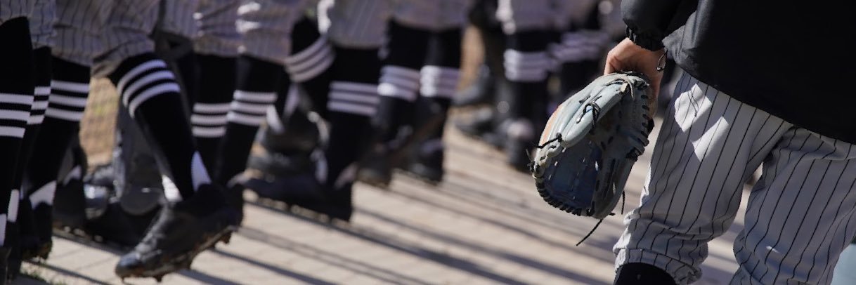 Rio Hondo Baseball banner