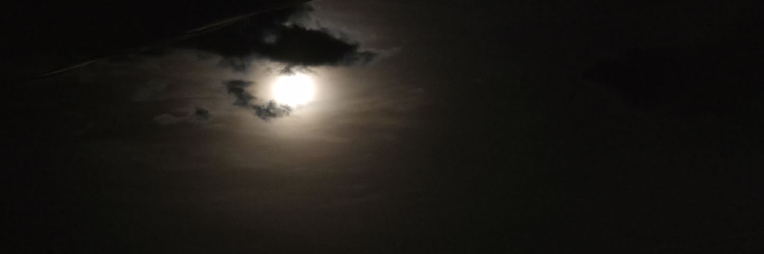 ☕︎🦝 ♡𝓗𝓪𝔃𝓮☆ 🐝☯ banner