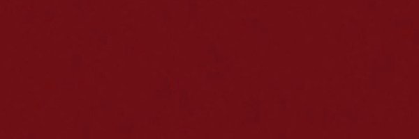 Principal__FHS Profile Banner