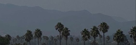Laneornot's profile banner image