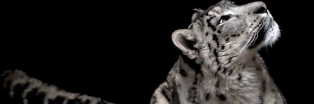 ekm_kim's profile banner image
