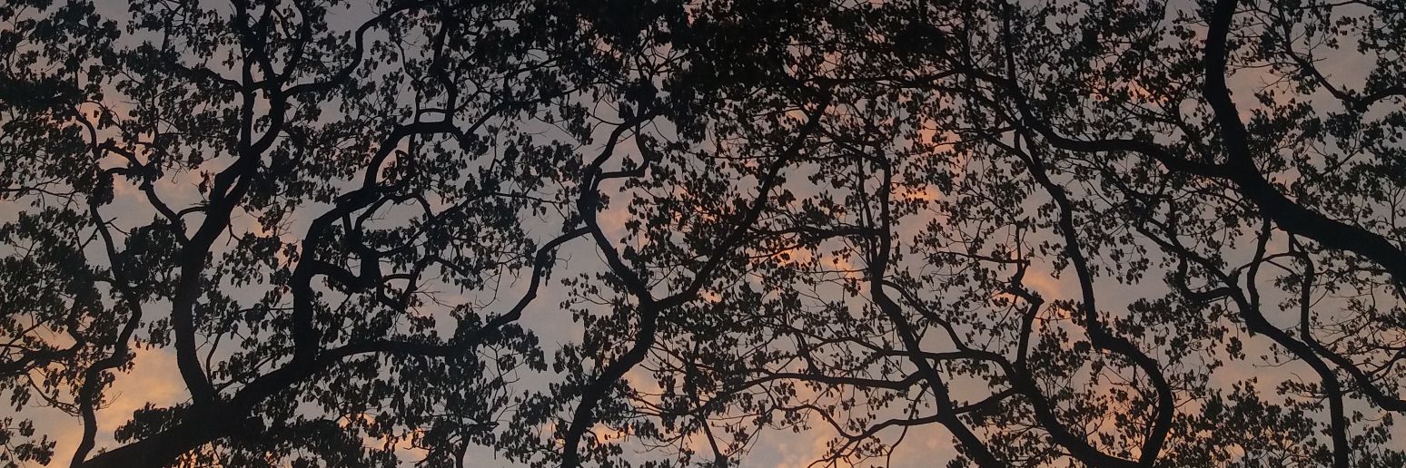 Justine Irish Tabile banner