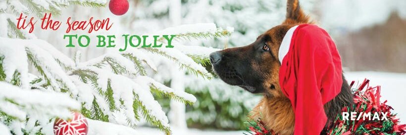 mhartery's profile banner image