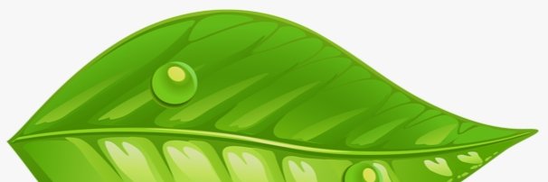 CycleEducator's profile banner image