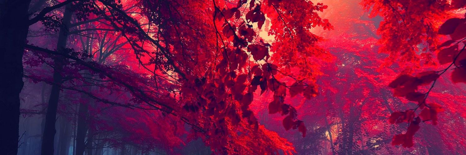 Naphty_'s profile banner image