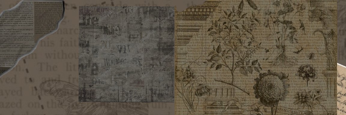 Treasure_Hunter (❖,❖) banner