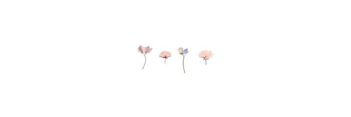 ˙ᵕ˙ banner