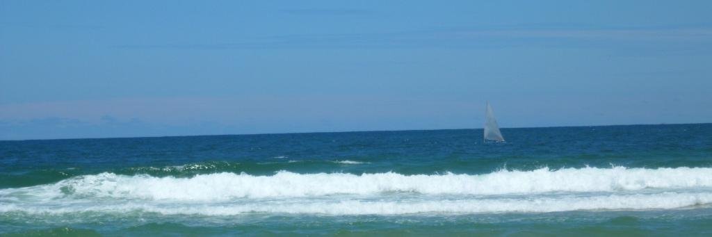 Roberto S. Fernández Sch banner