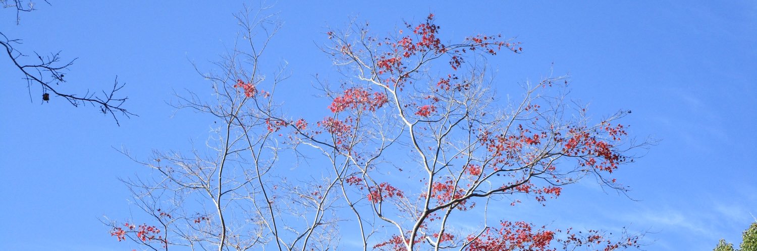 おか　よしの banner