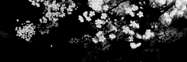 ♡Vry♡ banner