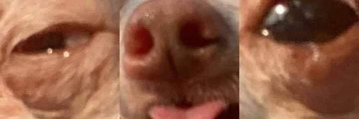 expliki's profile banner image