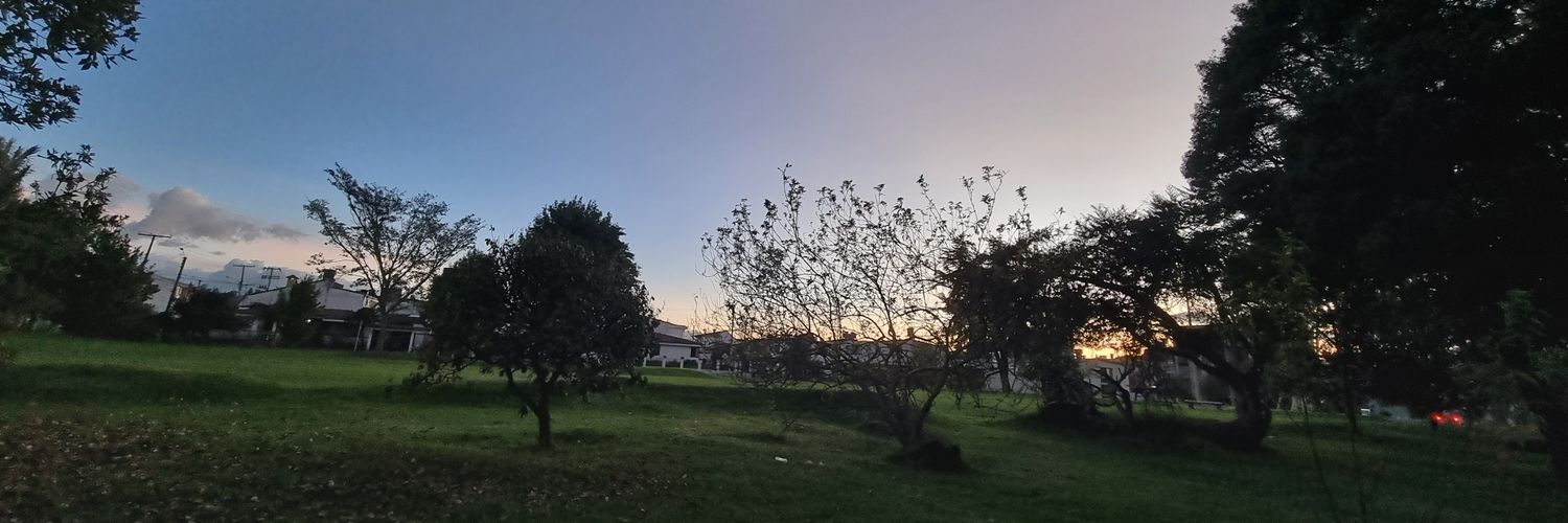 Li_nabaudi2's profile banner image