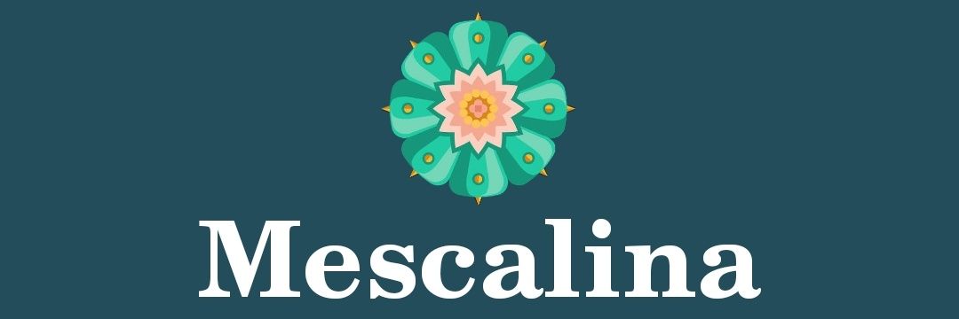 MescalinaFM's profile banner image