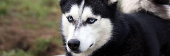 Alex_chuki5's profile banner image