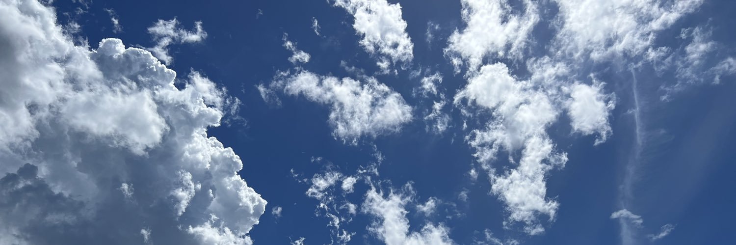 tatsu's profile banner image