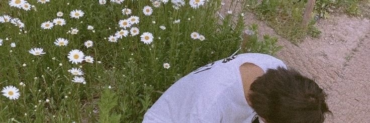 ִֶָ's banner